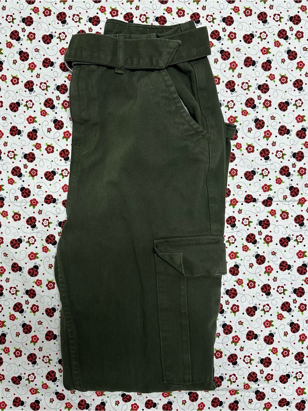 acSun Cadet Belted Utility Green Hi-Rise Cargo Pants Womens 28